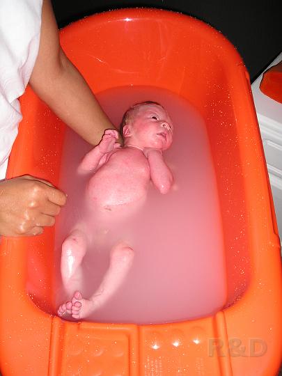 Imme 19 juli 2006 (2).JPG
